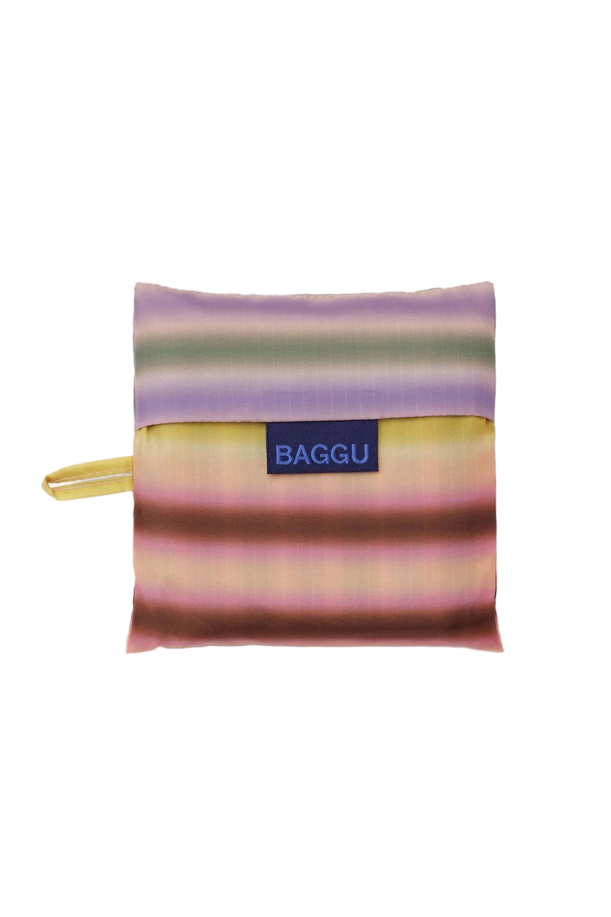 Standard Baggu Gradient Stripe Multi