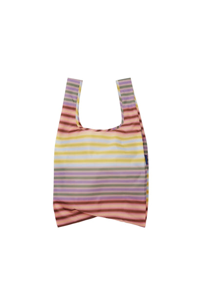 Standard Baggu Gradient Stripe Multi