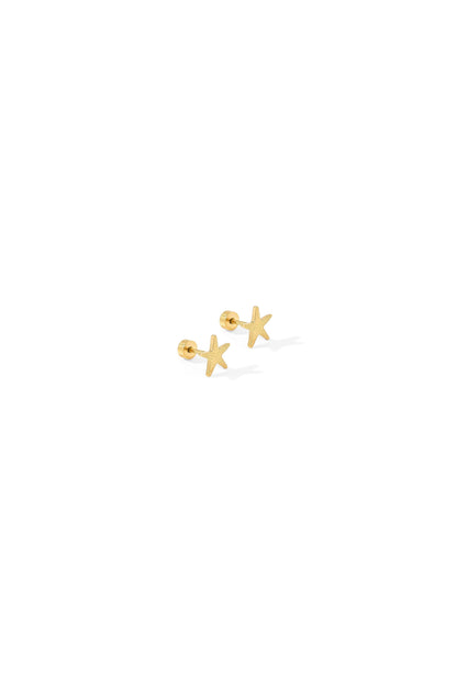Starfish Screwback Studs Gold