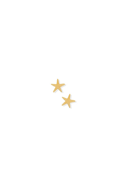 Starfish Screwback Studs Gold