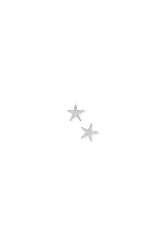 Starfish Screwback Studs Silver