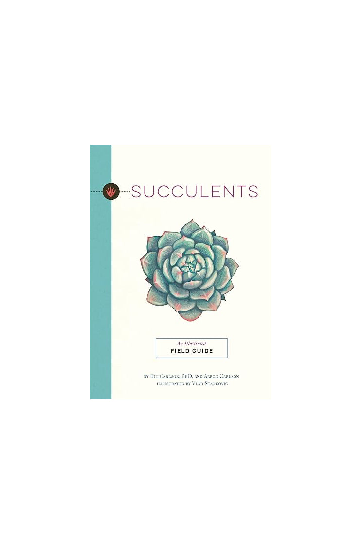Succulents