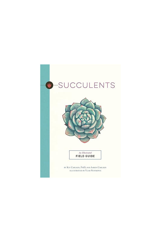 Succulents
