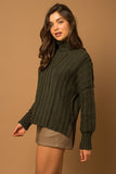 Textured Rib Turtleneck Sweater