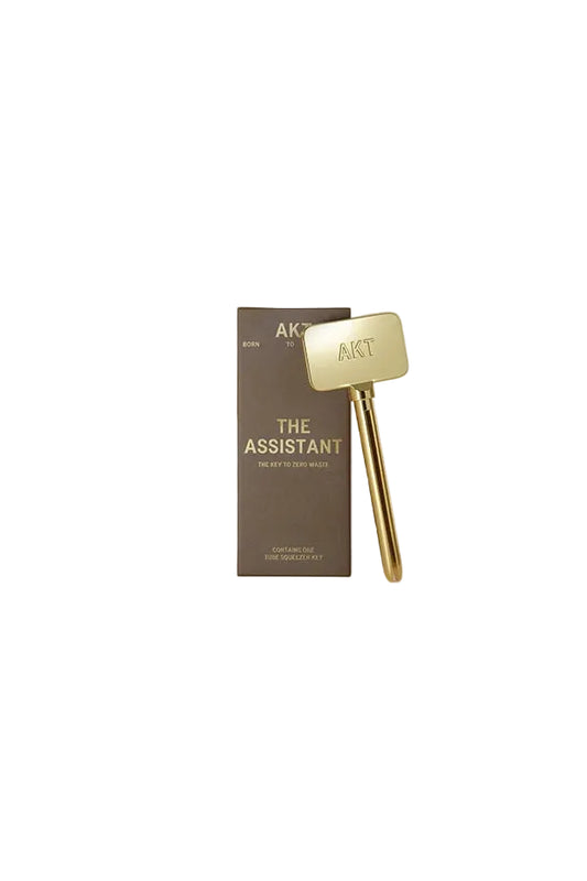 The Assistant