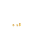 Tiny Shell Stud Earrings