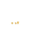 Tiny Shell Stud Earrings