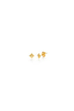 Tiny Venus Star Stud Earrings