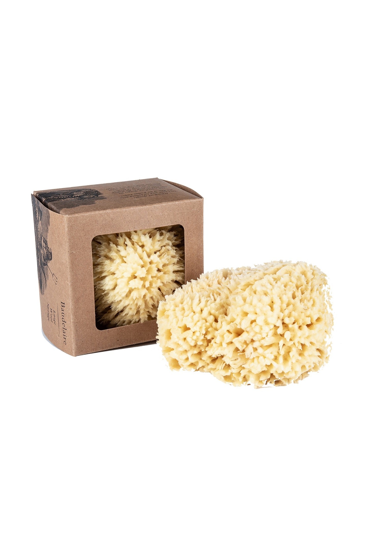 Wool Bath Sponge Large – SF Siren