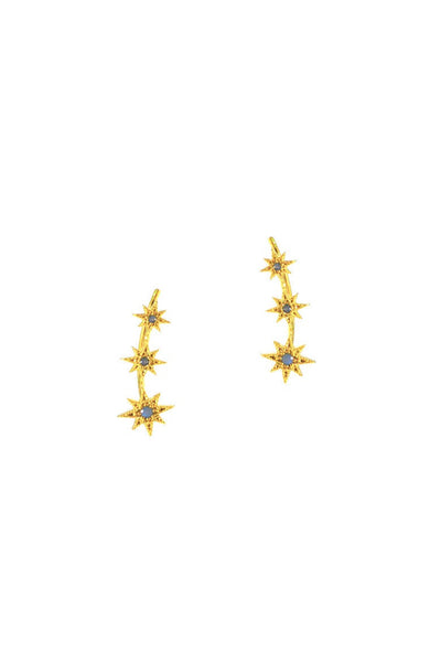 Starburst Crawler Earrings