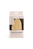 Body Dry Brush